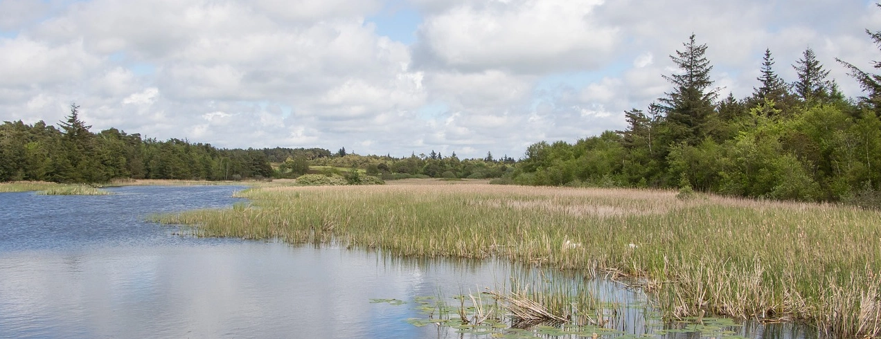 Elselskaber Esbjerg